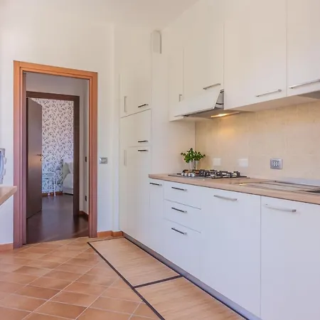 Rose By Wonderful Italy